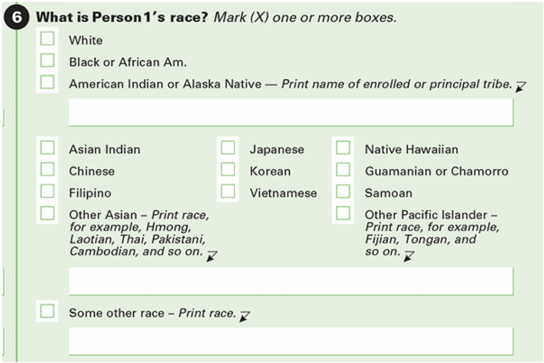 2020 US Census Race Question Excerpt