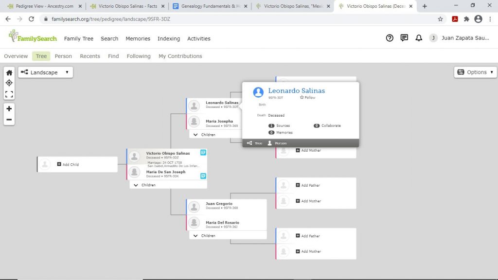 Example FamilySearch View Tree