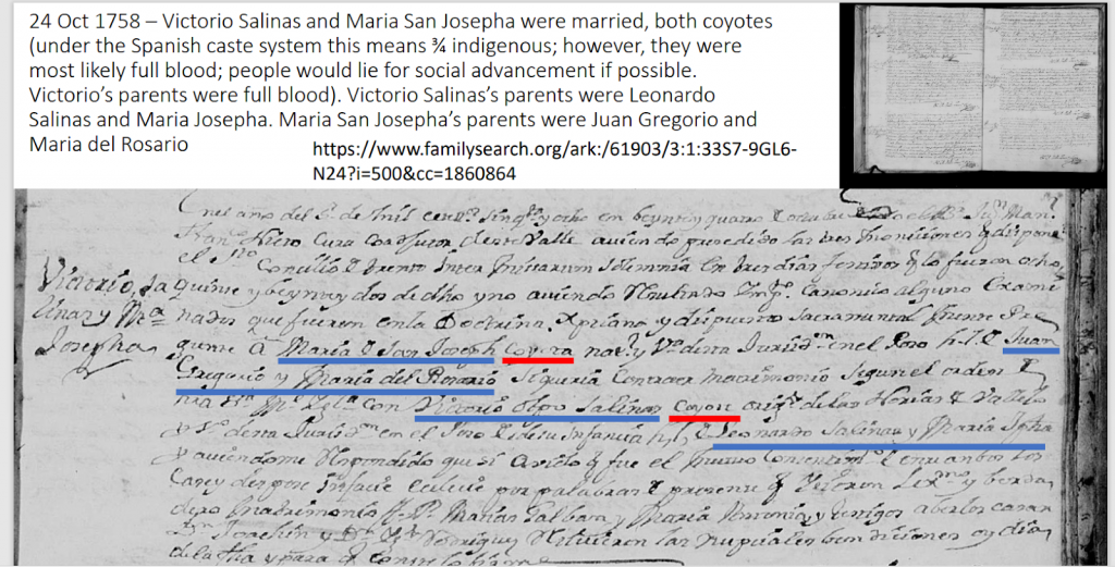 Juan Zapata Guachichil evidence letter with highlights